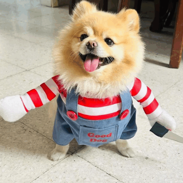 Disfraz chucky Para Mascotas