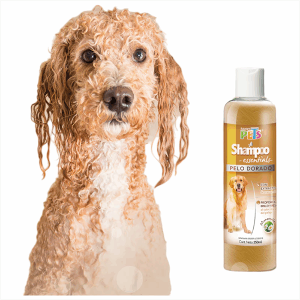 Shampoo Pelo Dorado Para Perro
