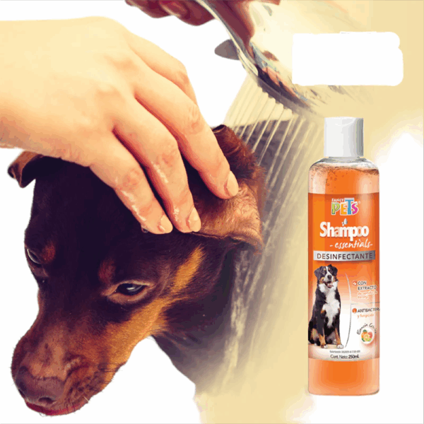 Shampoo Desinfectante Para Perro