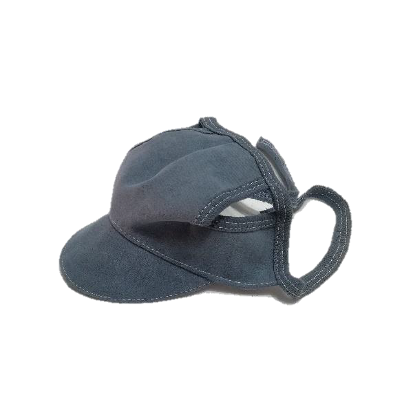 Gorra estampada Para Mascota
