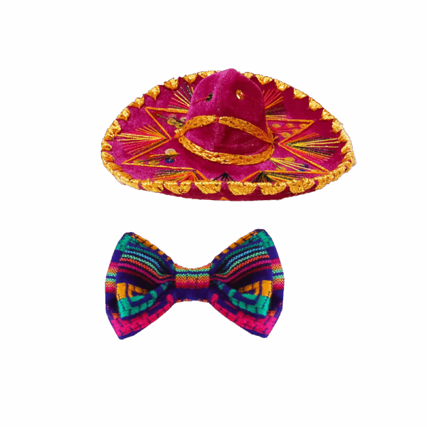 Sombrero Mexicano Para Mascota