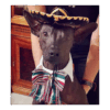 Sombrero Mexicano Para Mascota