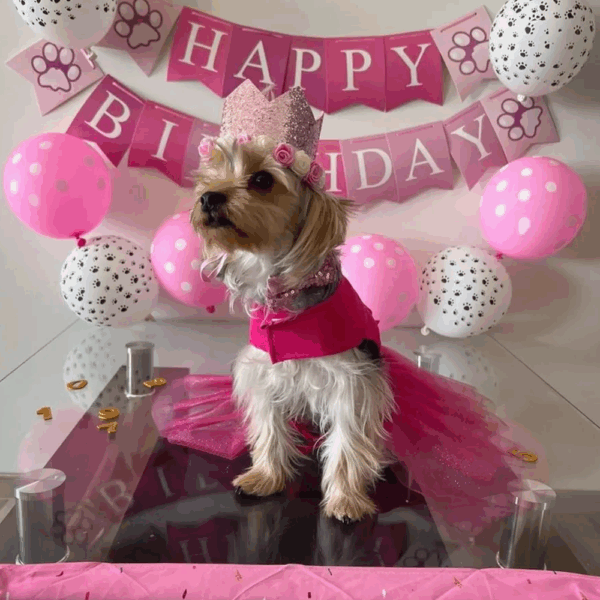 Vestido Para Mascota fiusha de tul