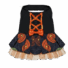 Vestido de Brujita Para Mascota