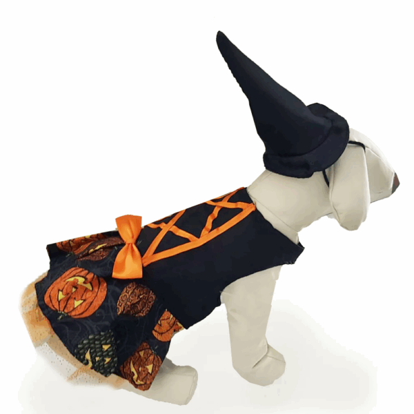 Vestido de Brujita Para Mascota