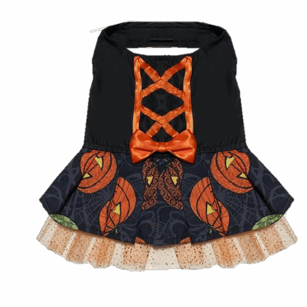 Vestido de Brujita Para Mascota