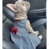 Vestido de rayas azules Para Mascota