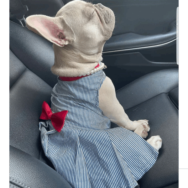 Vestido de rayas azules Para Mascota