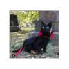 Capa de Drácula Para Mascota