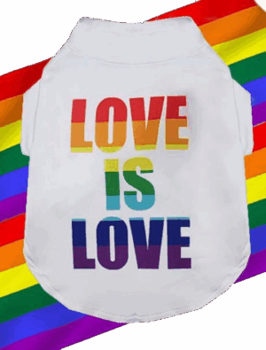 Playera Para mascota estampado Love is love
