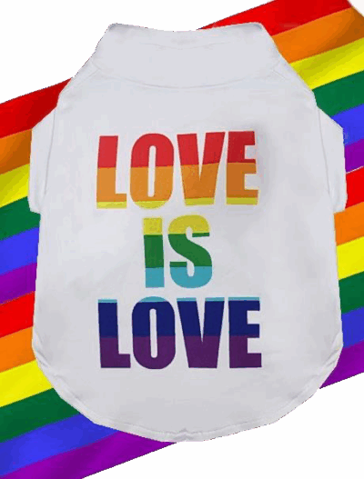 Playera Para mascota estampado Love is love
